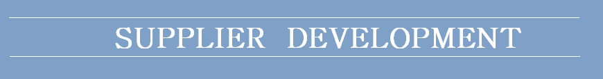 Supplierdevelopment